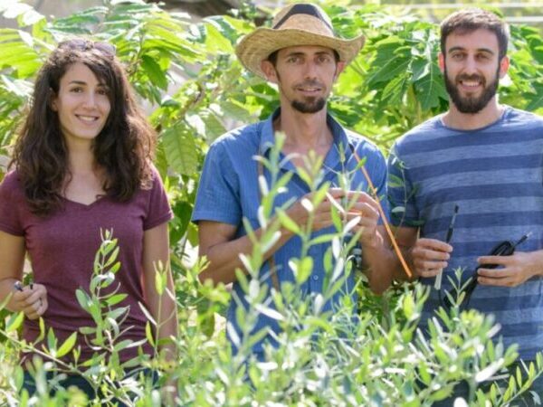 El futuro de la agricultura está en el desierto de Israel