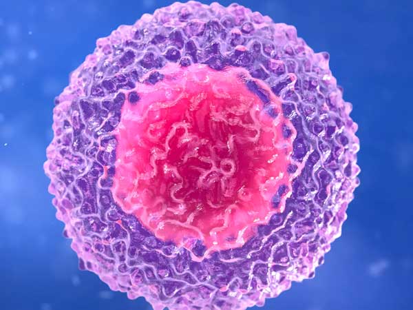 Células T al rescate: mucho más que anticuerpos en la inmunidad contra COVID-19