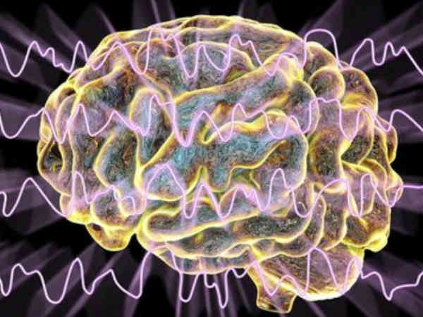 Diminutos cristales de magnetita en el cerebro
