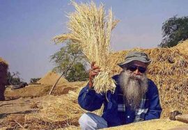 La agricultura puede impulsar la próxima revolución económica