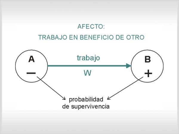 El afecto es una necesidad primaria del ser humano