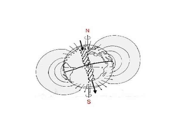 campo geomagnetico en insectos sociales