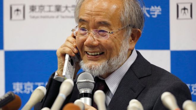 Yoshinori Ohsumi