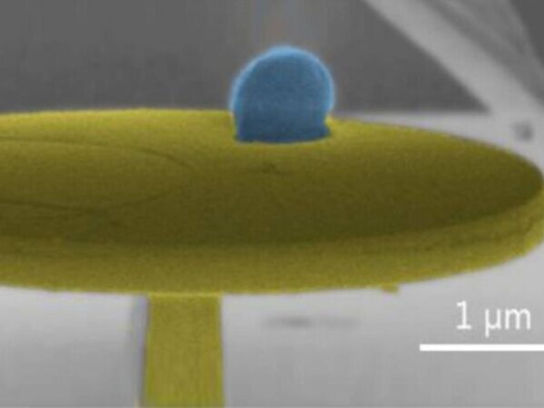 Las vibraciones de los microorganismos pueden servir para identificarlos