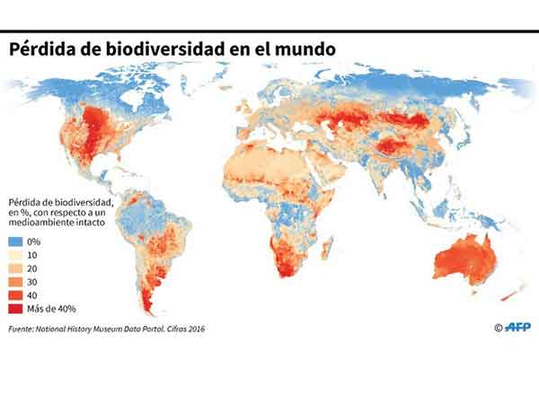 perdida de biodiversidad