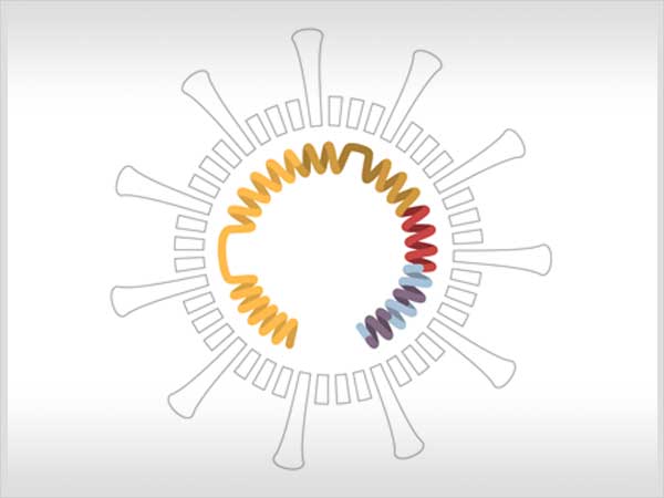 Así muta y se propaga el coronavirus