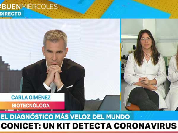 coronavirus: conicet presenta un test de detección rápida