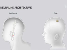 neuralink