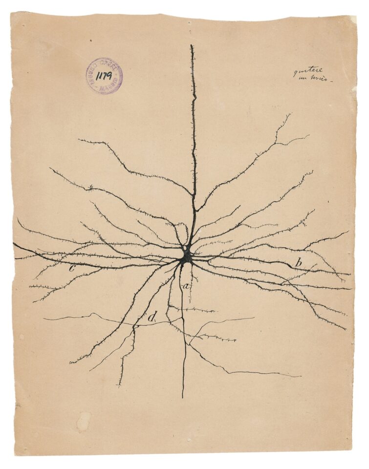 Santiago Ramón y Cajal, el hombre que dibujó los secretos del cerebro