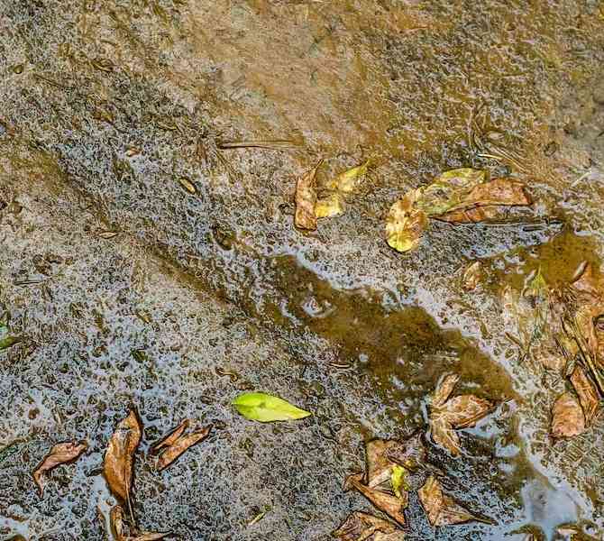 Una lluvia de virus y bacterias cae del cielo cada día