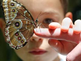 La extraña naturaleza del cambio