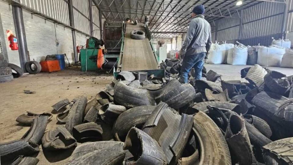 Padre e hijo reciclan 4.000 kilos de neumáticos por día