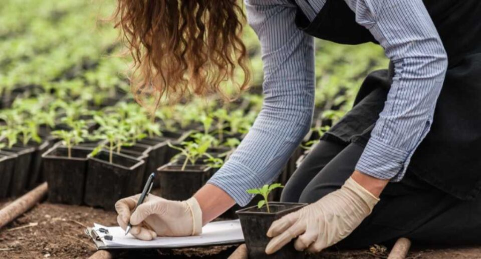 CULTIVAR EN EL DESIERTO: EL CASO DE ISRAEL