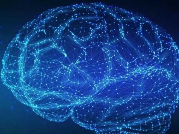 El gran atlas de las células cerebrales humanas abre una nueva era en la neurociencia