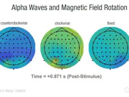 cerebro reacciona a las variaciones del campo magnético