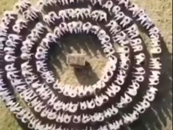 Video: Paz por favor