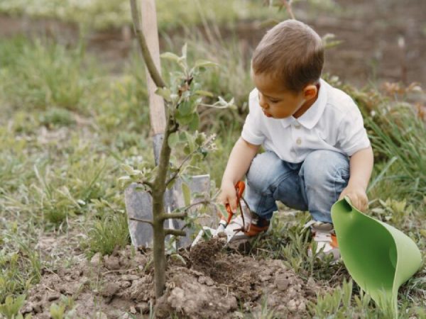 Life Terra planta más de 1,5 millones de árboles para reconectar Europa con la naturaleza