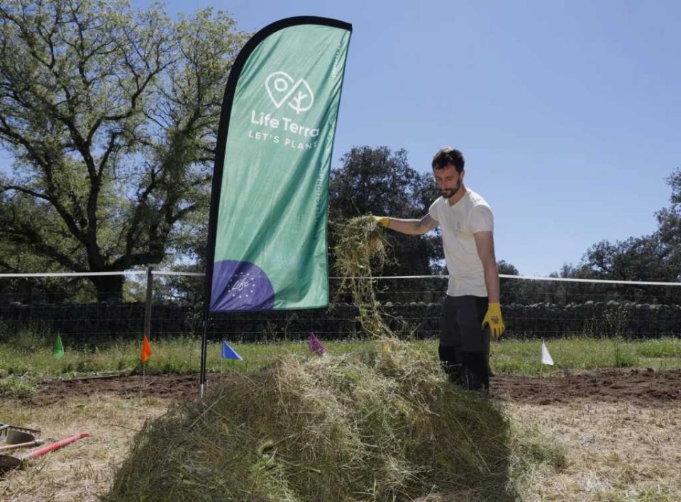 Life Terra planta más de 1,5 millones de árboles para reconectar Europa con la naturaleza