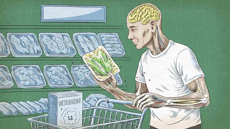 Tu cocina está llena de microplásticos. Aquí te explicamos cómo consumirlos menos.