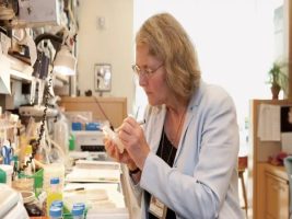 Elizabeth Blackburn, la Nobel del Siglo XXI que dio con la clave del envejecimiento celular