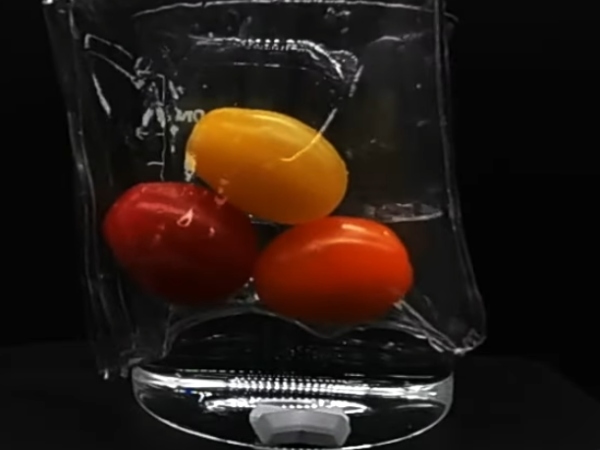 ¿El plástico perfecto? De origen vegetal, totalmente degradable en agua salada y sin microplásticos.