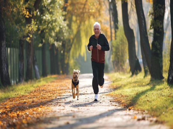 La convivencia social y con animales mejora el microbioma intestinal en los mayores de 60 años