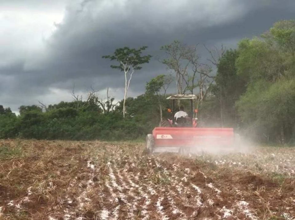 Cómo 19 proyectos de innovación social están transformando la salud y la alimentación en América Latina
