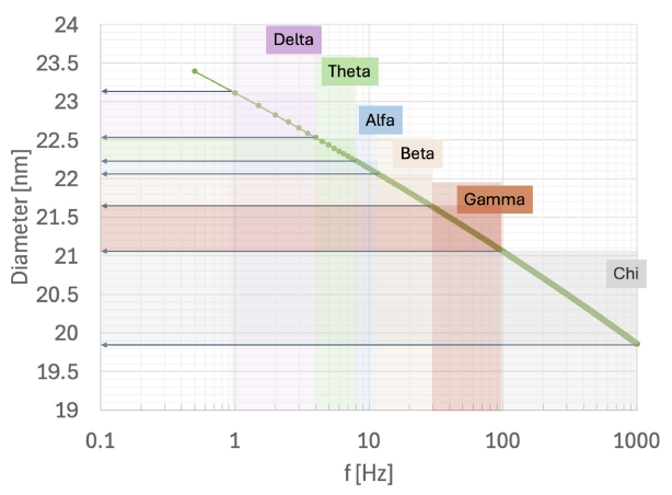 El Compás Secreto del Cerebro