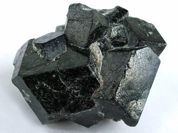 ¿Es la magnetita una molécula de memoria universal?