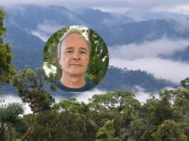 Bonos de biodiversidad: ¿qué son y para qué sirven?