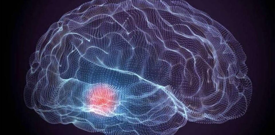 Estanislao Bachrach, biólogo molecular: “El cerebro se entrena como un músculo, pero también vuelve atrás si dejas de practicar”