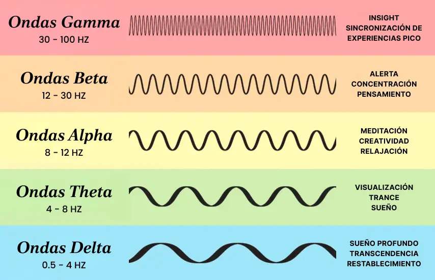 Los neurocientíficos y psicólogos coinciden: esta rutina de «reinicio del estrés» de 15 minutos calma todos los cerebros que no se apagan (la mayoría lo hace mal)
