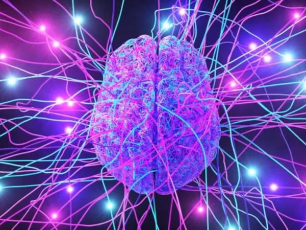 Nobel de Medicina 2026: optogenética, la técnica que empezó con una microalga y luego revolucionó el estudio del cerebro